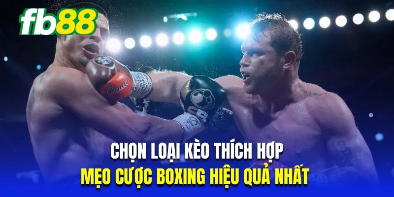 Chọn loại kèo thích hợp là mẹo cược Boxing hiệu quả nhất 