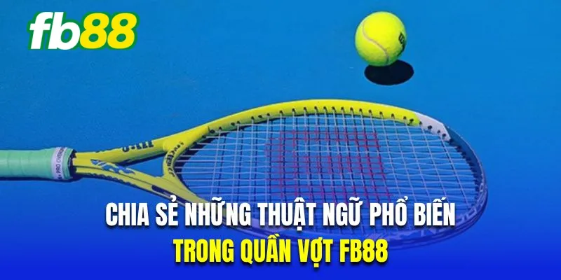 Chia sẻ những thuật ngữ phổ biến trong quần vợt Fb88