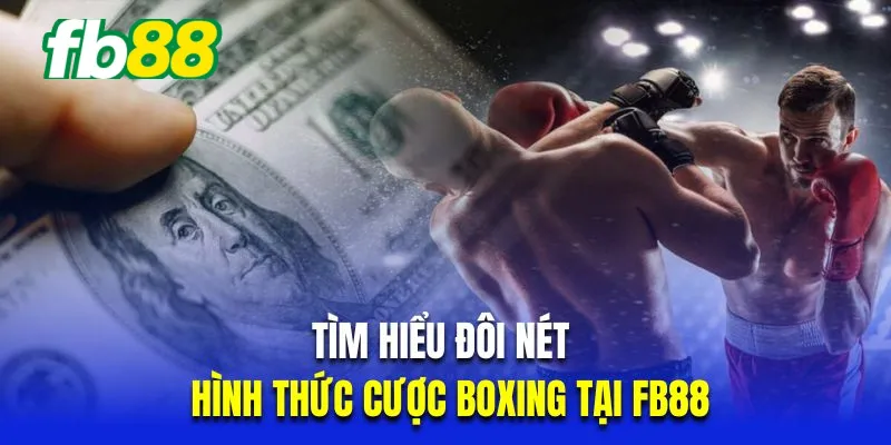 Tìm hiểu đôi nét về hình thức cược Boxing tại Fb88